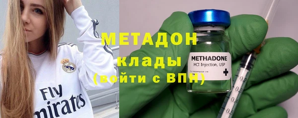хмурый Аркадак