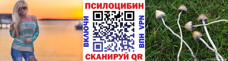 Псилоцибиновые грибы мицелий  наркотики  Свирск 